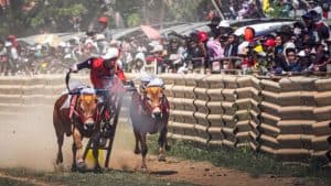 Pj. Sekdaprov Jatim Buka Grand Final Karapan Sapi Piala Presiden 2024