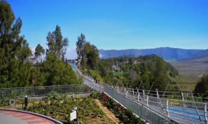 Tunggu Keputusan Pusat, Pengelolaan Jembatan Bromo Belum Ada Kepastian