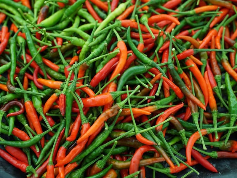 Harga Cabai Rawit Meroket! Naik Rp2.700, Kini Tembus Rp48.670/kg.