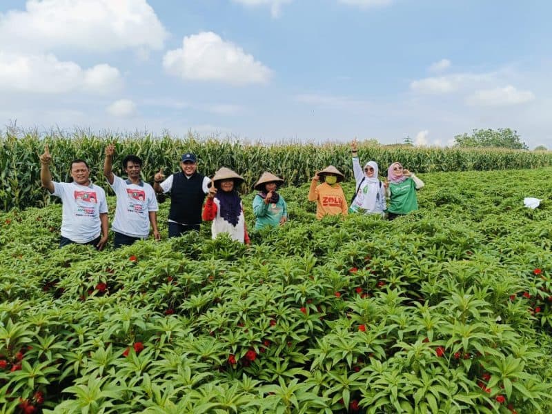 Petani Bunga Di Jombang Titip Program Ke Tim Pemenangan Paslon 01