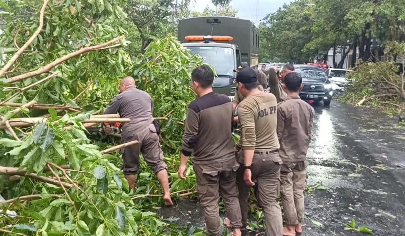 Angin Kencang Tumbangkan Pohon dan Seret Mobil ke Sungai di Surabaya