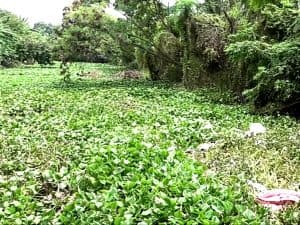 BBWS Brantas Dinilai Abai, Gunung Anyar Kembali Diterjang Banjir