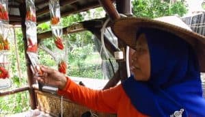 Warga Surabaya Hadapi Kenaikan Harga di Nataru dengan Cabai Sachet