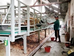 Aroma Busuk & Suara Bising Peternakan Kambing Diprotes Warga Jombang