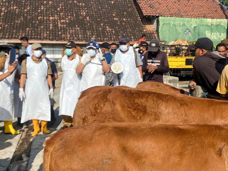 PMK Mengganas, Jombang Ambil Langkah Tutup Pasar dan Vaksinasi Massal