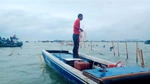 Rabu Bersejarah: Nelayan Dadap dan AGRA Bongkar Paksa Pagar Laut