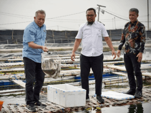 Wamenkop Dukung Revitalisasi Tambak dengan Pembiayaan Lewat LPDB