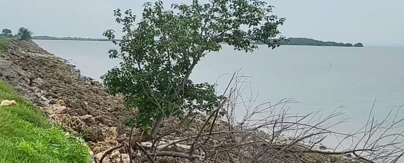 Pagar Laut Pindah ke Sumenep, Pertanyakan Regulasi Pesisir