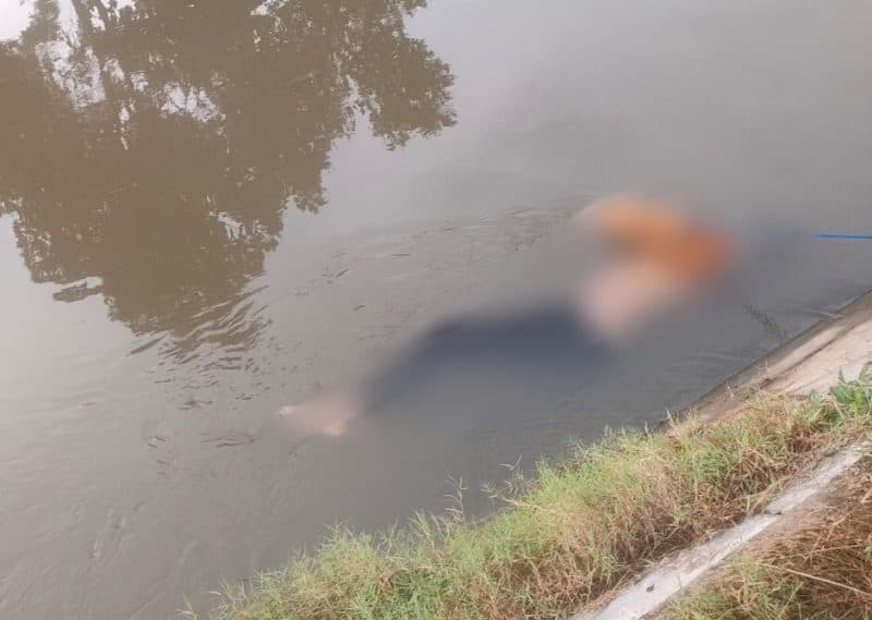 Mayat Perempuan Tanpa Identitas Ditemukan Mengambang di Sungai Jombang
