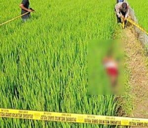 Penemuan Mayat di Persawahan Benjeng, Diduga Tersengat Jebakan Tikus