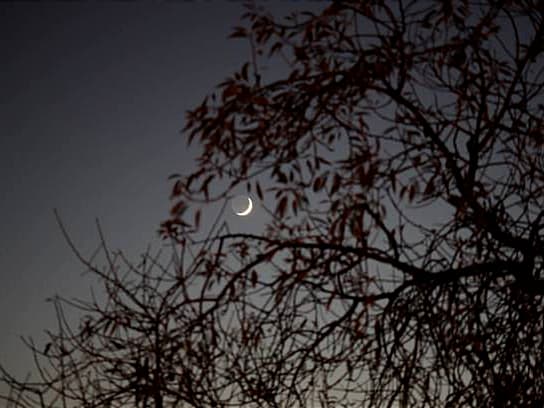 BMKG Siarkan Live Streaming Rukyat Hilal Ramadan 2025, Jumat Ini!