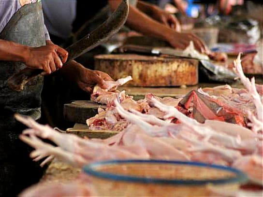 Ramadan Aman, Stok Daging Ayam Melimpah, Harga Stabil