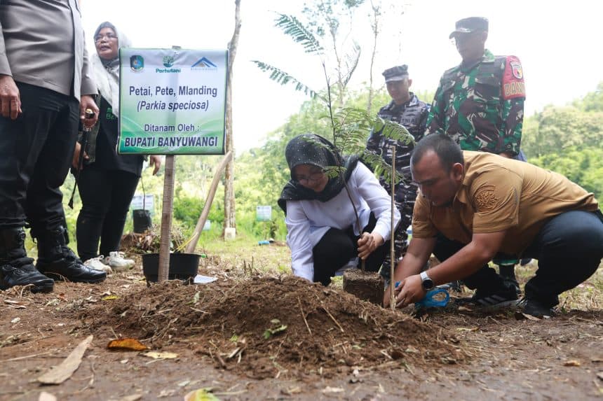 Banyuwangi Tanam Jutaan Pohon di Lereng Ijen Cegah Krisis Lingkungan
