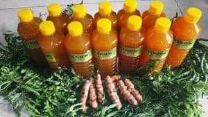 Dari Dapur Sidoarjo, Sinom Bu Yanti Rebut Hati Generasi Z