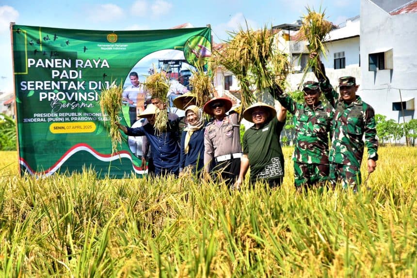 Surabaya Panen Serentak: 8,8 Ton/Hektar! Hasil Lampaui Target Nasional