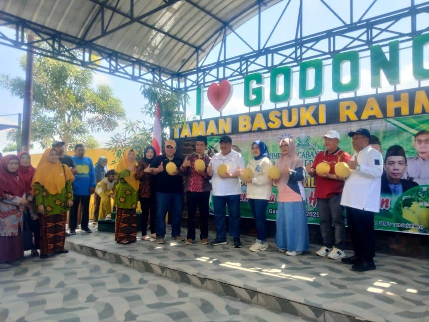 PD Muhammadiyah Jombang Genjot Ekonomi Umat Lewat Panen Melon