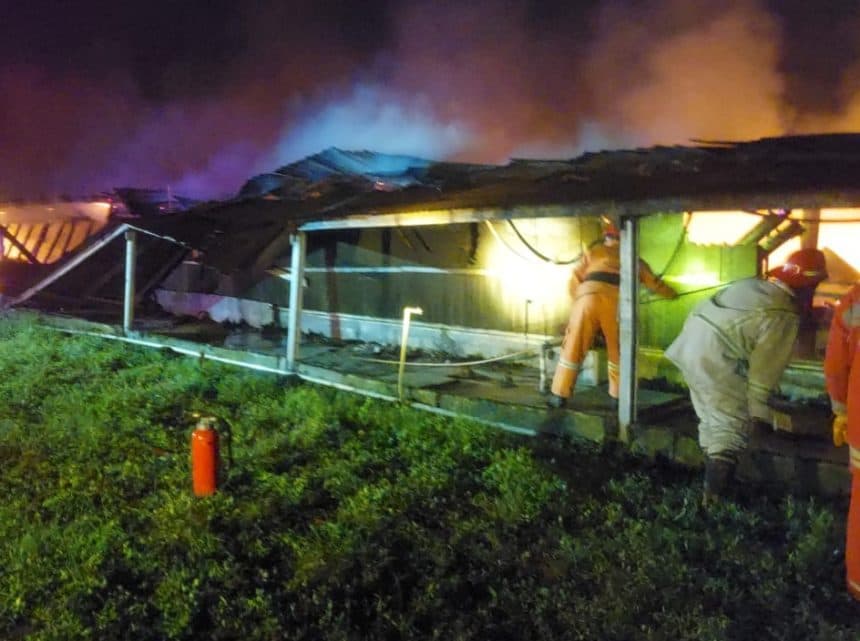 Kebakaran Kandang Ayam di Jombang, 5 Jam Padam, 10 Ribu Ayam Hangus