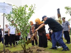 Pohon Maja Simbol Majapahit Ditanam di IKN, Ini Pesan dari Khofifah