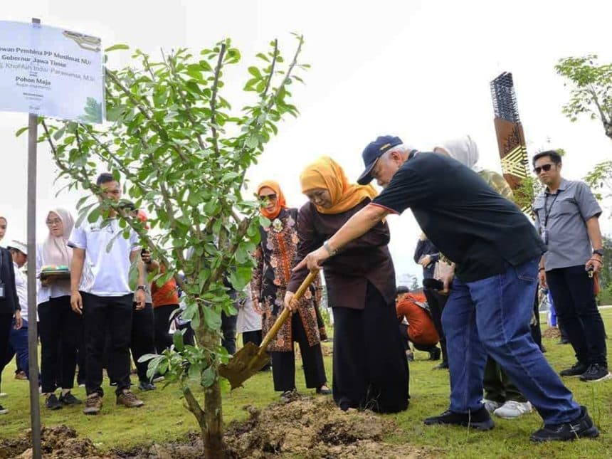 Pohon Maja Simbol Majapahit Ditanam di IKN, Ini Pesan dari Khofifah