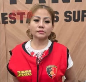 Jan Hwa Diana Terjerat Dua Kasus, Kini Jadi Tersangka Perusakan Mobil