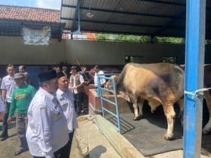 Cek Stok & Kesehatan Hewan Kurban, Bupati Warsubi Blusukan ke Kandang