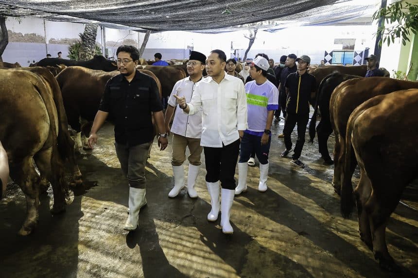 Jamin Daging Kurban Sehat, Wali Kota Eri Cek Langsung di RPH Surabaya