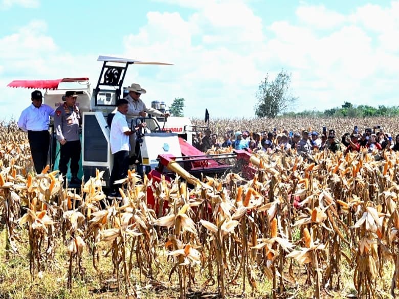 1.200 Ton Jagung Resmi Diekspor, 80 Ribu Kopdes Siap Produksi Baru
