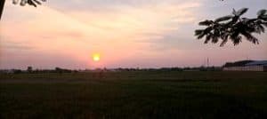 Suhu 23°C Lebih Dingin dari Biasanya di Kota Surabaya Pagi Ini