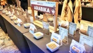 Java Coffee and Flavors Fest 2025 Resmi Dibuka di Kota Lama Surabaya