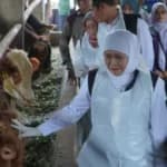 Miliki 100 Ribu Sapi, Kota Ini Jadi Penopang Hewan Kurban di Jatim