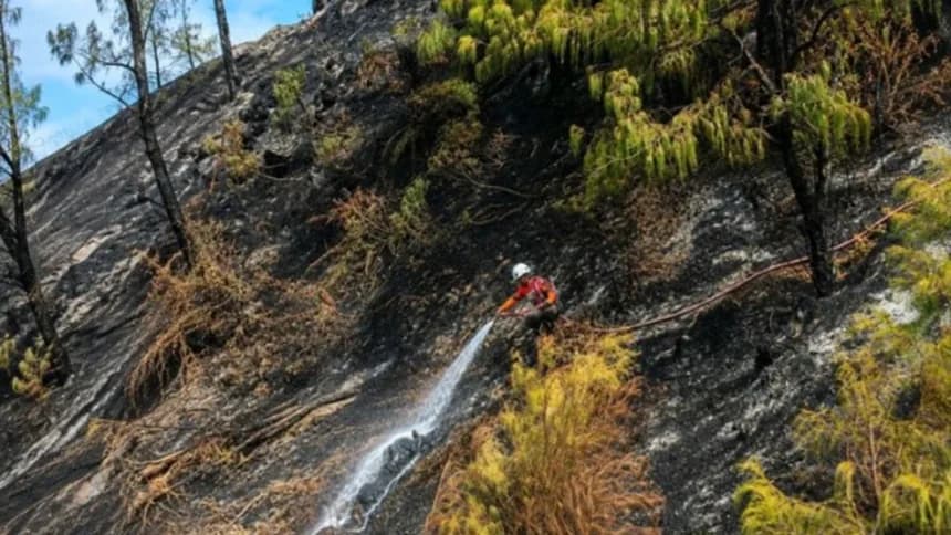 Karhutla Bromo: 1.120 Ha Area Terbakar, 477 Ribu L Air Dicurahkan