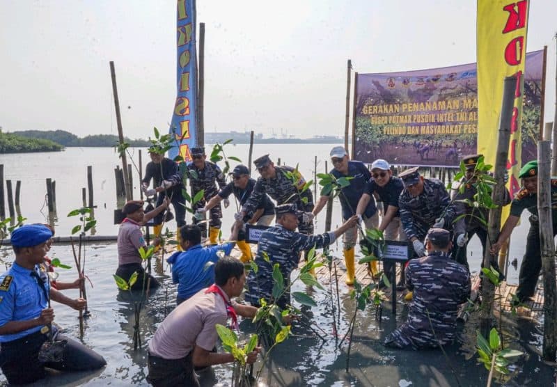 Pelindo dan TNI AL hingga Pelajar Peringati Hari Mangrove Sedunia