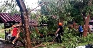 Surabaya Diterjang Puting Beliung, Ini Langkah Penanganan Pemkot