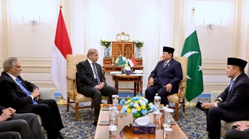 Pertemuan Bilateral Presiden Prabowo dan PM Pakistan Shehbaz di Kairo