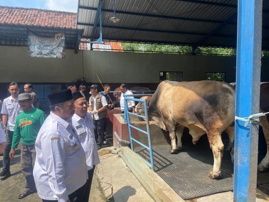 Cek Stok & Kesehatan Hewan Kurban, Bupati Warsubi Blusukan ke Kandang
