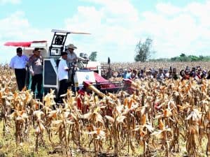 1.200 Ton Jagung Resmi Diekspor, 80 Ribu Kopdes Siap Produksi Baru