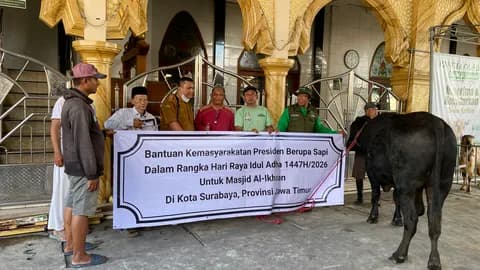 Sapi Brangus Peternak Lokal Surabaya Jadi Hewan Kurban Prabowo