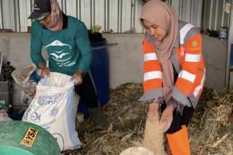 Sukardi (kiri) mengolah limbah hasil panen jagung menjadi pakan ternak berbentuk silase di kawasan Edupark PT Semen Gresik Pabrik Rembang, Jawa Tengah. (Foto : SIG)