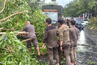 Pohon tumbang di Surabaya. (Foto: kfp)