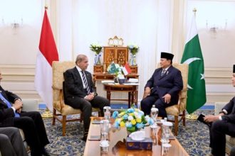 Pertemuan Bilateral Presiden Prabowo dengan Perdana Menteri Pakistan Shehbaz Sharif di Hotel St Regis New Capital, Kairo, Mesir, pada Rabu (18/12/2024). (Foto:BPMI Setpres/Rusman)