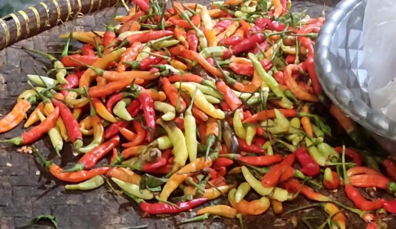 Harga cabai rawit terus naik. (Foto: kfp)