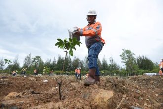 Penanaman bibit pohon mahoni daun kecil di lahan bekas tambang tanah liat Pabrik Lhoknga, Kabupaten Aceh Besar, sebagai upaya reklamasi untuk memulihkan fungsi tempat hidup bagi keanekaragaman hayati. (Foto : SIG)
