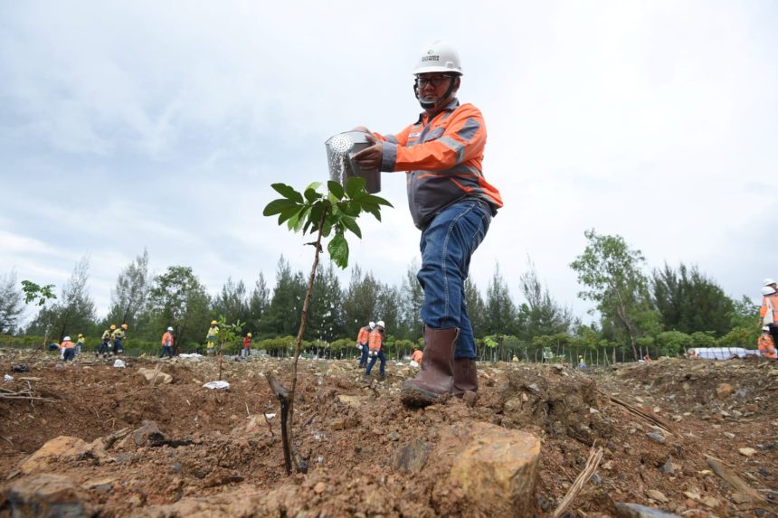 Penanaman bibit pohon mahoni daun kecil di lahan bekas tambang tanah liat Pabrik Lhoknga, Kabupaten Aceh Besar, sebagai upaya reklamasi untuk memulihkan fungsi tempat hidup bagi keanekaragaman hayati. (Foto : SIG)